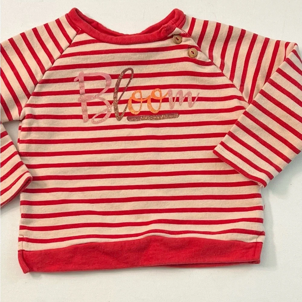 Zara Baby Girl Striped “Bloom “ Sweatshirt